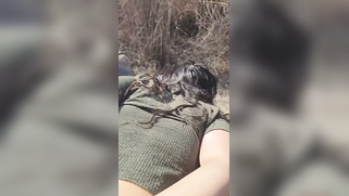 Pakistani Big Brother Pounds His Sister's Outdoor Tight Butthole In Their Village | XXX Video on AllSex.XXX