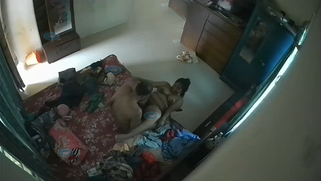 CCTV: Sneaky Desi Slut Wife Caught on Hidden Cam Riding Her Boss's Cock in Hubby's Bed; Video Is Viral | XXX Video on AllSex.XXX