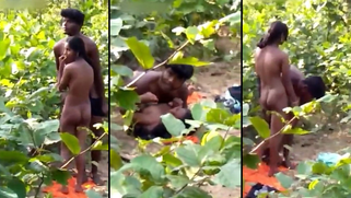 Disgraced Cuck Finally Nabs His Nasty Wife Fucking Her Lover Hard in Wild Jungle