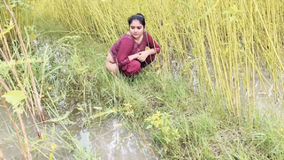 Rough pounding this beautiful village Indian aunty at home while her lover films it all, leaked scandal | XXX Video on AllSex.XXX