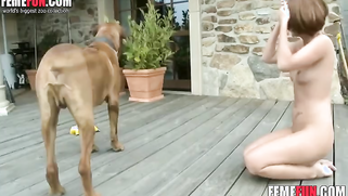 Bestiality seduction porn plan succeeded and dog wanted to nail owner | XXX Video on AllSex.XXX
