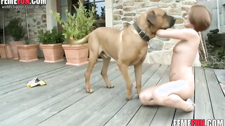 Bestiality seduction porn plan succeeded and dog wanted to nail owner | XXX Video on AllSex.XXX