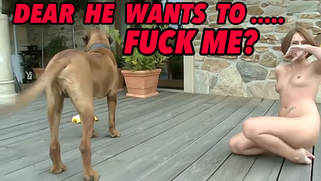 Bestiality seduction porn plan succeeded and dog wanted to nail owner | XXX Video on AllSex.XXX