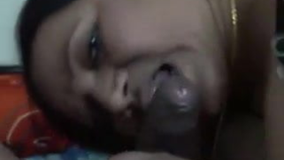 Desi Aunty Sucking cock / punjabi indian xxx video | XXX Video on AllSex.XXX