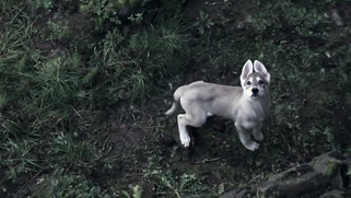 Game of Thrones S01E01 - "The things I do for love"