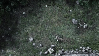 Game of Thrones S01E01 - "The things I do for love" | XXX Video on AllSex.XXX